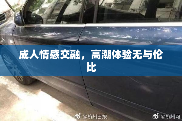成人情感交融，高潮体验无与伦比