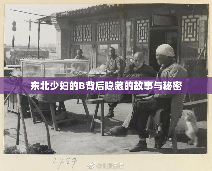 东北少妇的B背后隐藏的故事与秘密