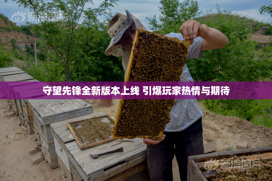 守望先锋全新版本上线 引爆玩家热情与期待