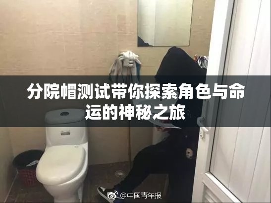 分院帽测试带你探索角色与命运的神秘之旅