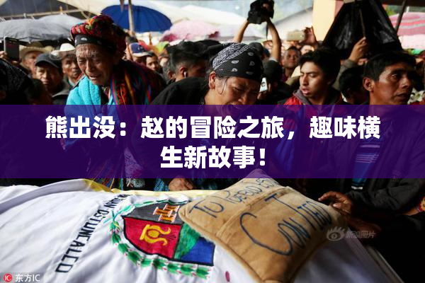 熊出没：赵的冒险之旅，趣味横生新故事！