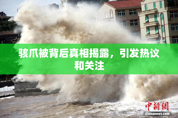 骇爪被背后真相揭露，引发热议和关注
