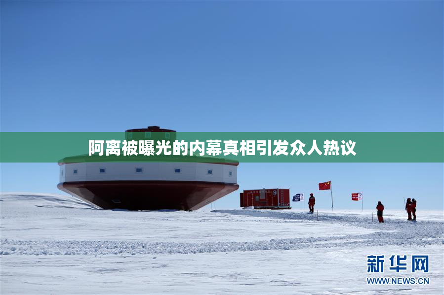 阿离被曝光的内幕真相引发众人热议