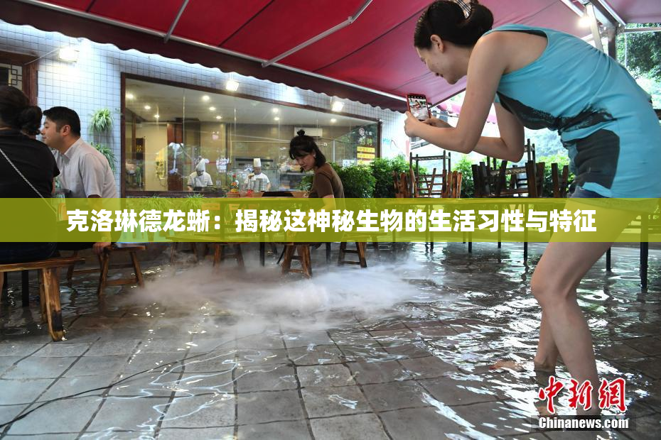 克洛琳德龙蜥：揭秘这神秘生物的生活习性与特征