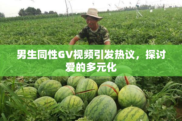 男生同性GV视频引发热议，探讨爱的多元化