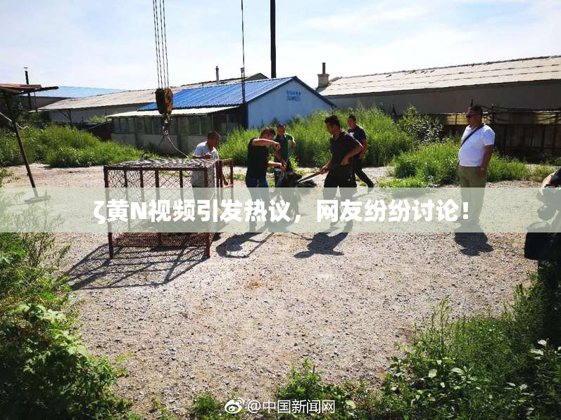 ζ黄Ν视频引发热议，网友纷纷讨论！