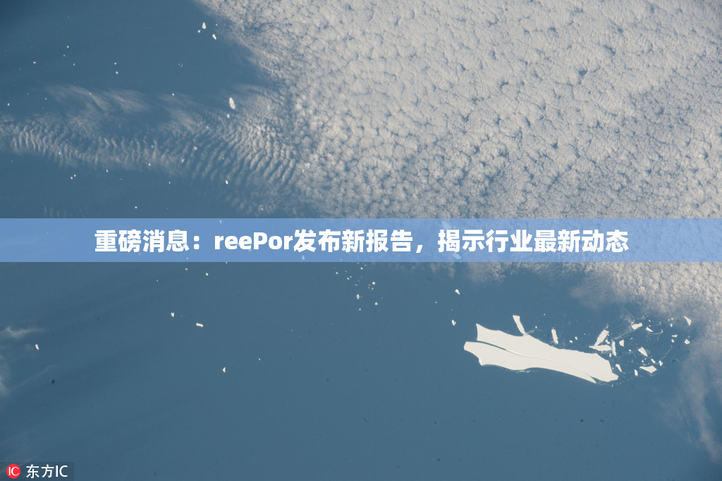 重磅消息：reePor发布新报告，揭示行业最新动态