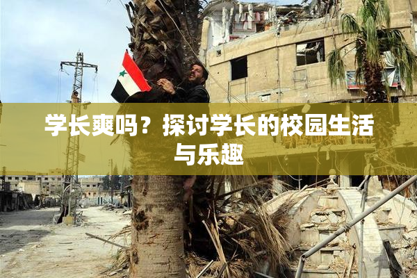 学长爽吗？探讨学长的校园生活与乐趣
