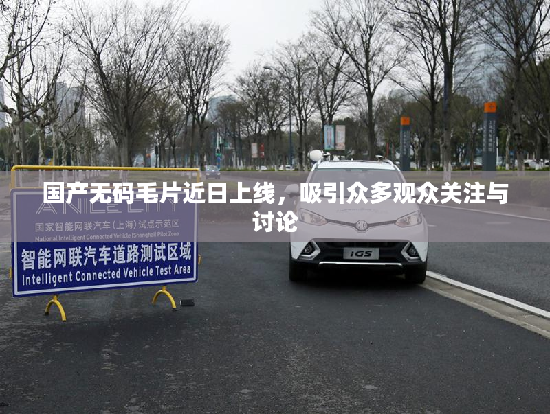 国产无码毛片近日上线，吸引众多观众关注与讨论