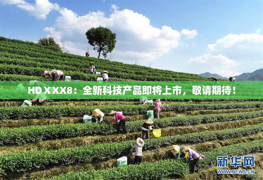 HDⅩXX8：全新科技产品即将上市，敬请期待！