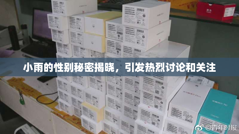 小雨的性别秘密揭晓，引发热烈讨论和关注