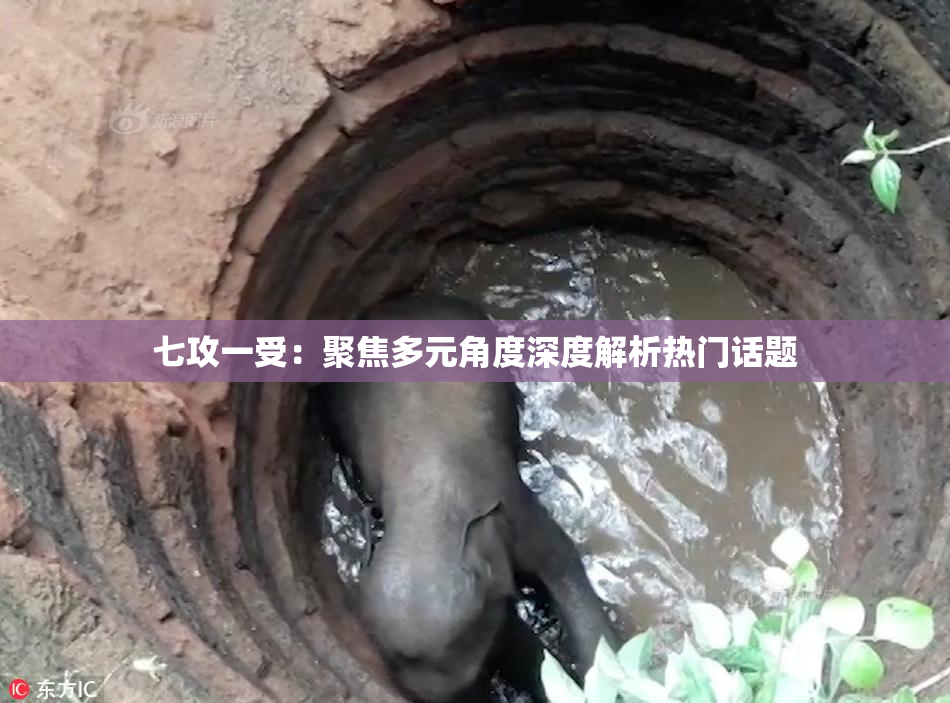 七攻一受：聚焦多元角度深度解析热门话题