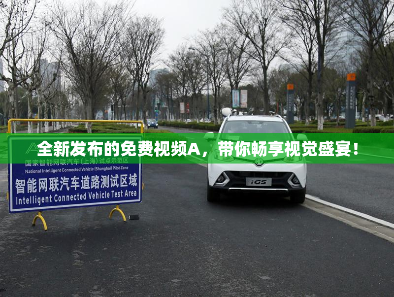 全新发布的免费视频A，带你畅享视觉盛宴！