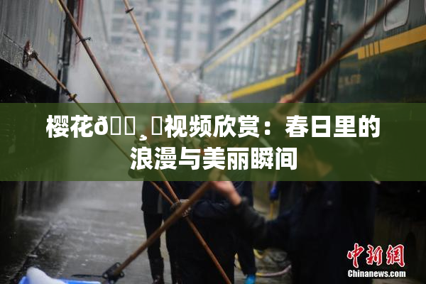 樱花🌸‌视频欣赏：春日里的浪漫与美丽瞬间
