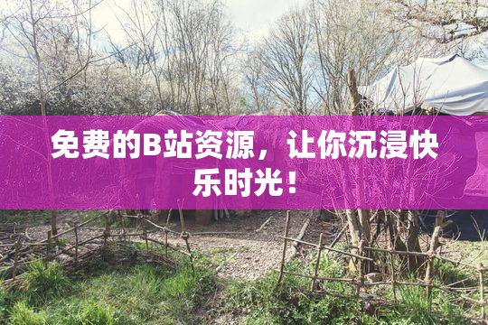 免费的B站资源，让你沉浸快乐时光！