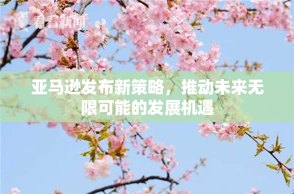 亚马逊发布新策略，推动未来无限可能的发展机遇