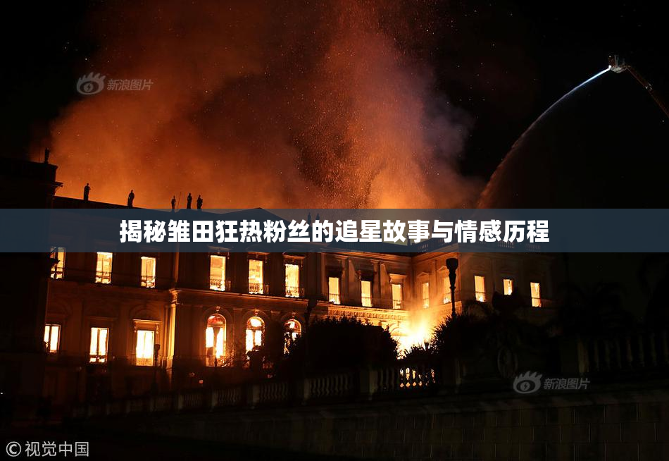 揭秘雏田狂热粉丝的追星故事与情感历程