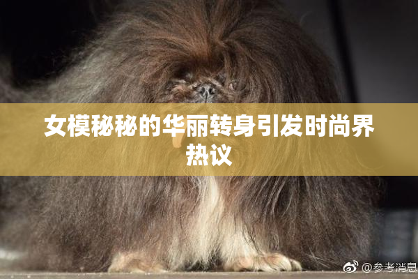 女模秘秘的华丽转身引发时尚界热议