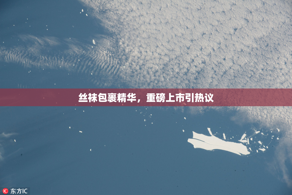丝袜包裹精华，重磅上市引热议