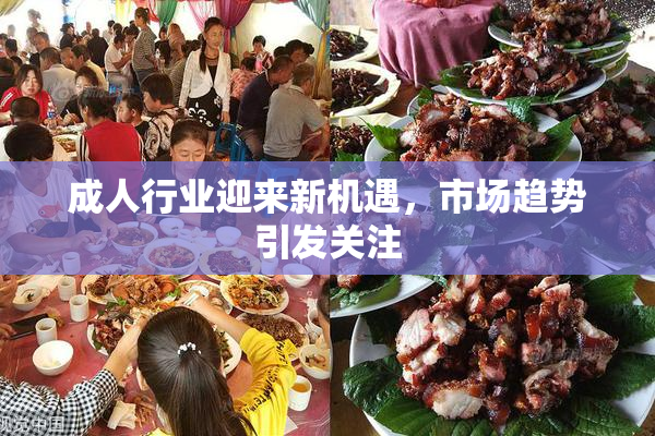 成人行业迎来新机遇，市场趋势引发关注