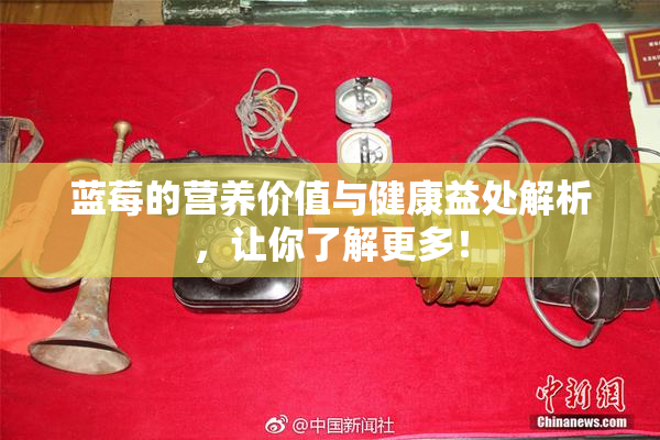 蓝莓的营养价值与健康益处解析，让你了解更多！