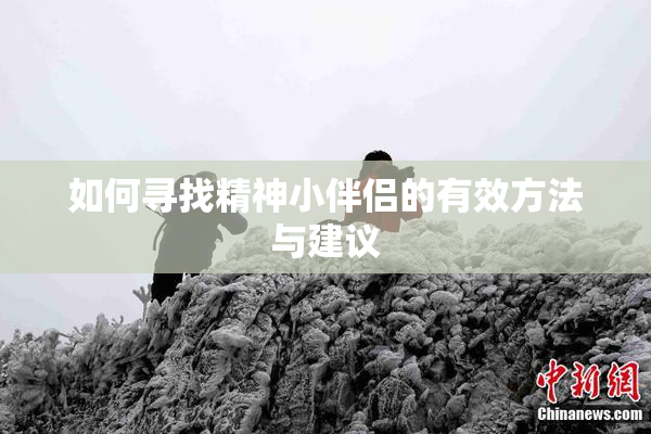 如何寻找精神小伴侣的有效方法与建议
