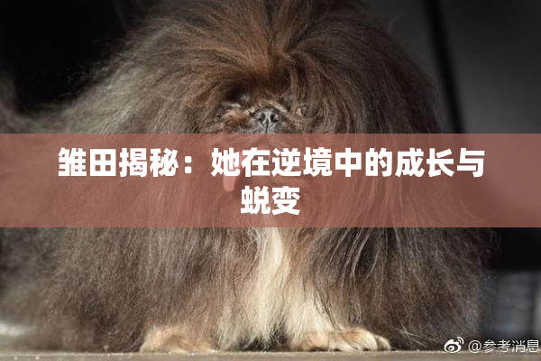 雏田揭秘：她在逆境中的成长与蜕变