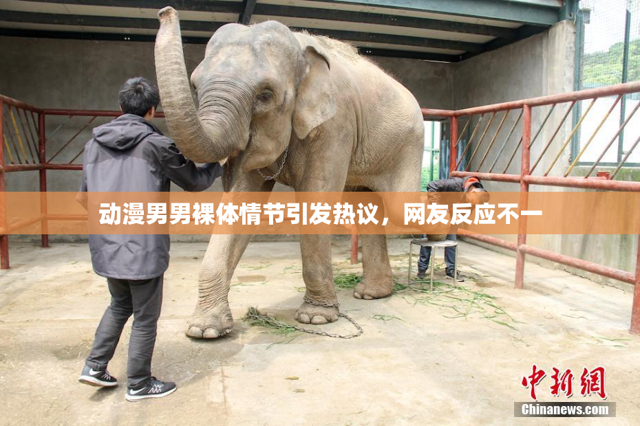 动漫男男裸体情节引发热议，网友反应不一