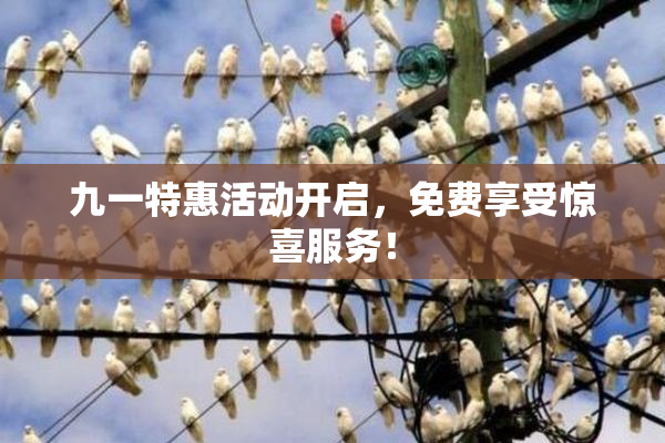 九一特惠活动开启，免费享受惊喜服务！