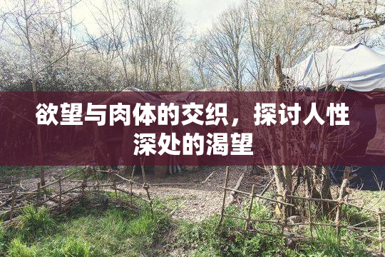欲望与肉体的交织，探讨人性深处的渴望