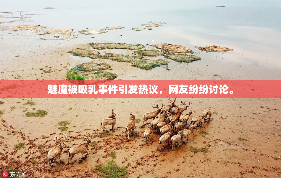 魅魔被吸乳事件引发热议，网友纷纷讨论。