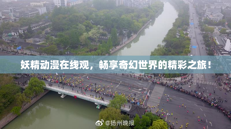 妖精动漫在线观，畅享奇幻世界的精彩之旅！