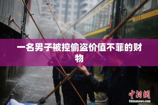 一名男子被控偷盗价值不菲的财物