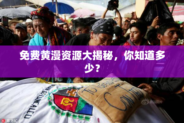 免费黄漫资源大揭秘，你知道多少？
