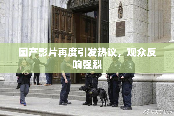 国产影片再度引发热议，观众反响强烈