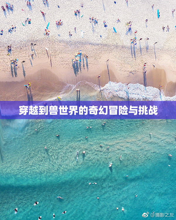 穿越到兽世界的奇幻冒险与挑战