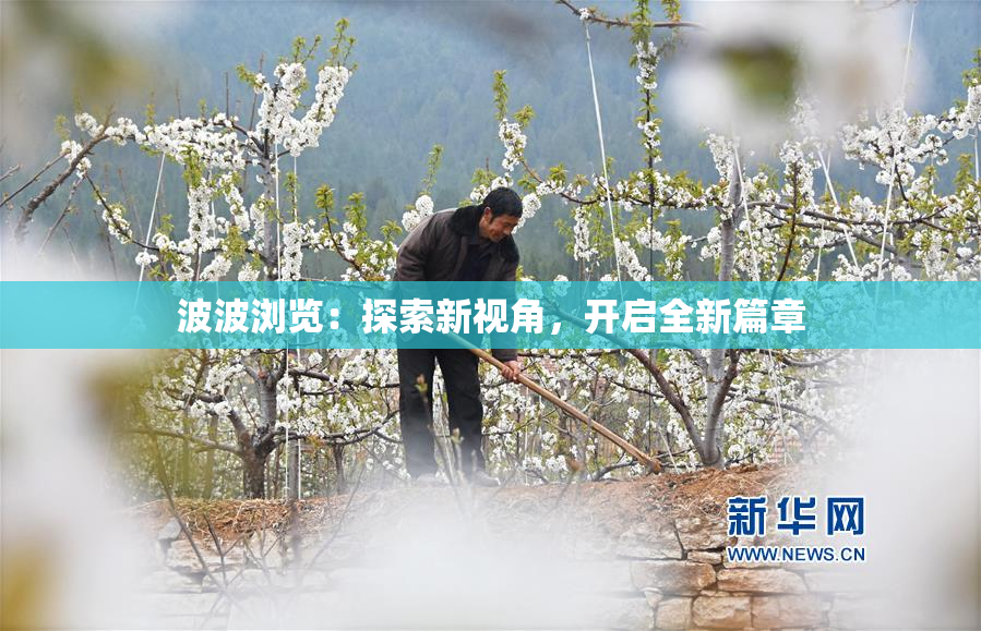波波浏览：探索新视角，开启全新篇章