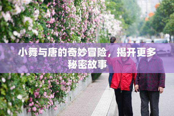 小舞与唐的奇妙冒险，揭开更多秘密故事