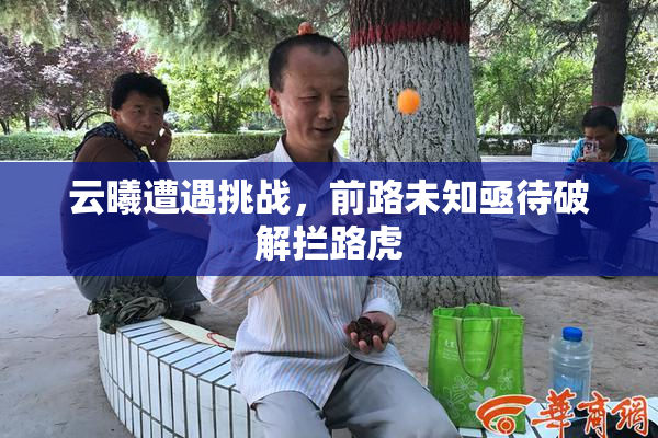 云曦遭遇挑战，前路未知亟待破解拦路虎