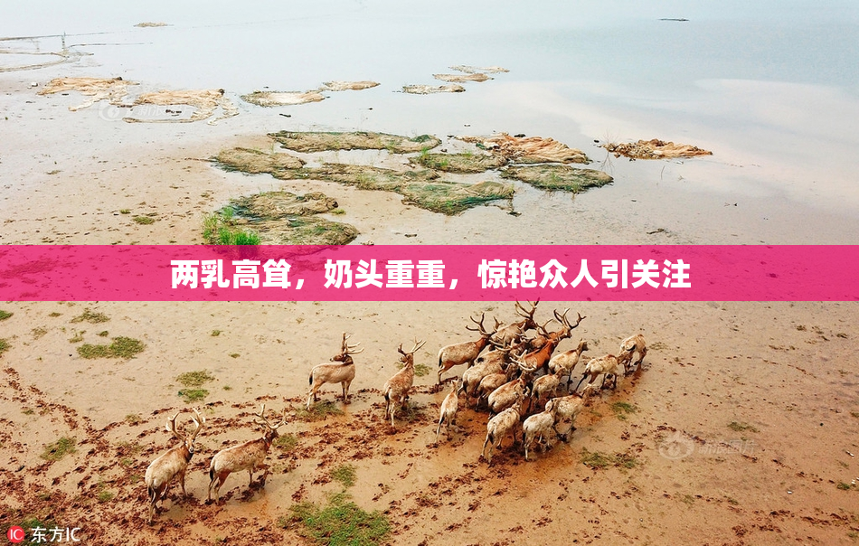 两乳高耸，奶头重重，惊艳众人引关注