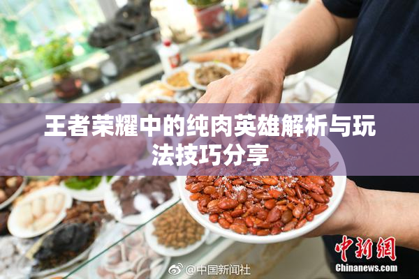 王者荣耀中的纯肉英雄解析与玩法技巧分享