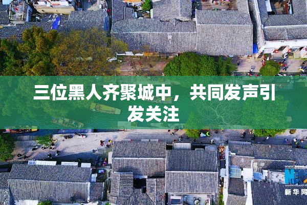三位黑人齐聚城中，共同发声引发关注