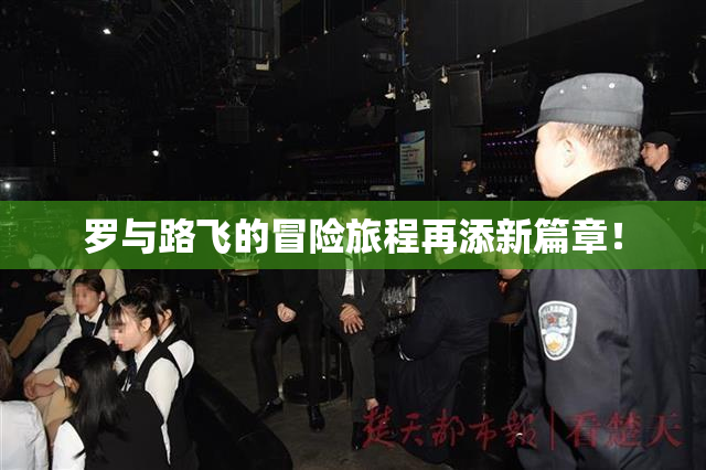罗与路飞的冒险旅程再添新篇章！
