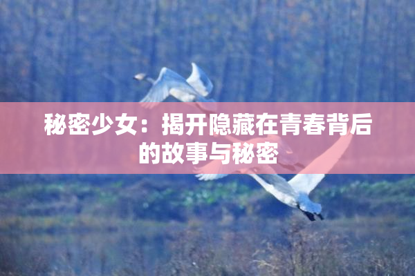 秘密少女：揭开隐藏在青春背后的故事与秘密
