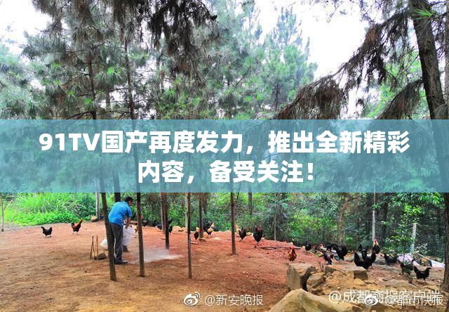 91TV国产再度发力，推出全新精彩内容，备受关注！