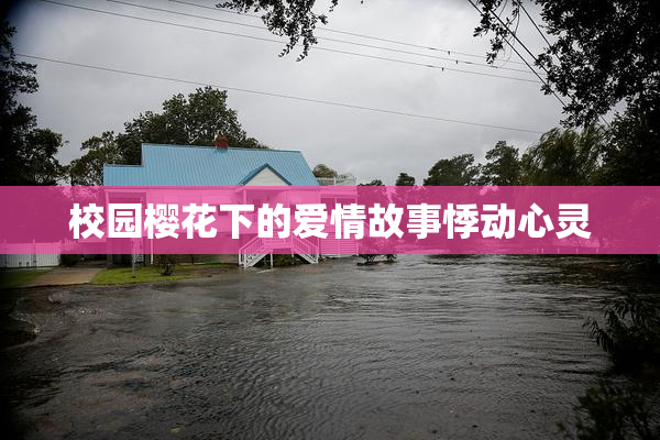 校园樱花下的爱情故事悸动心灵