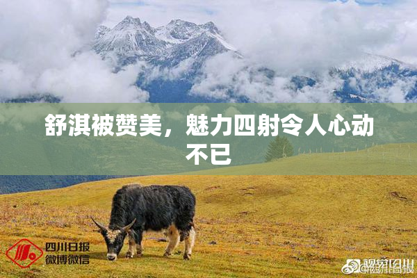 舒淇被赞美，魅力四射令人心动不已