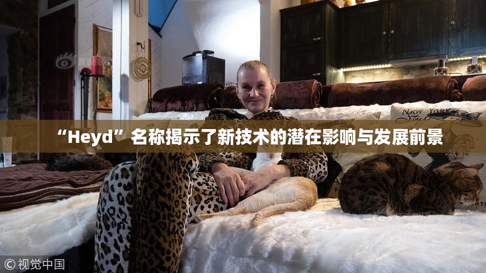 “Heyd”名称揭示了新技术的潜在影响与发展前景