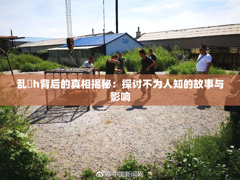 乱婬h背后的真相揭秘：探讨不为人知的故事与影响