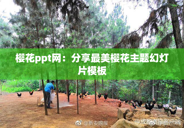 樱花ppt网：分享最美樱花主题幻灯片模板